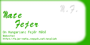 mate fejer business card